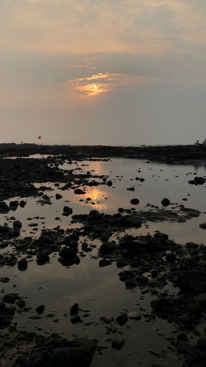 The picture shows the beauty of nature and sunset
