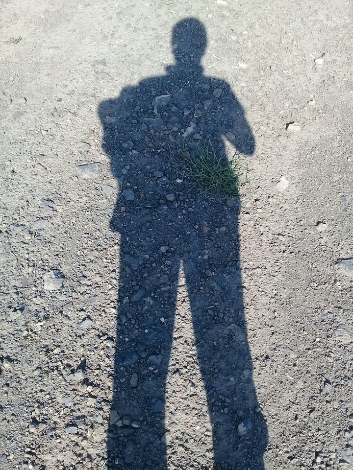 sun mirror