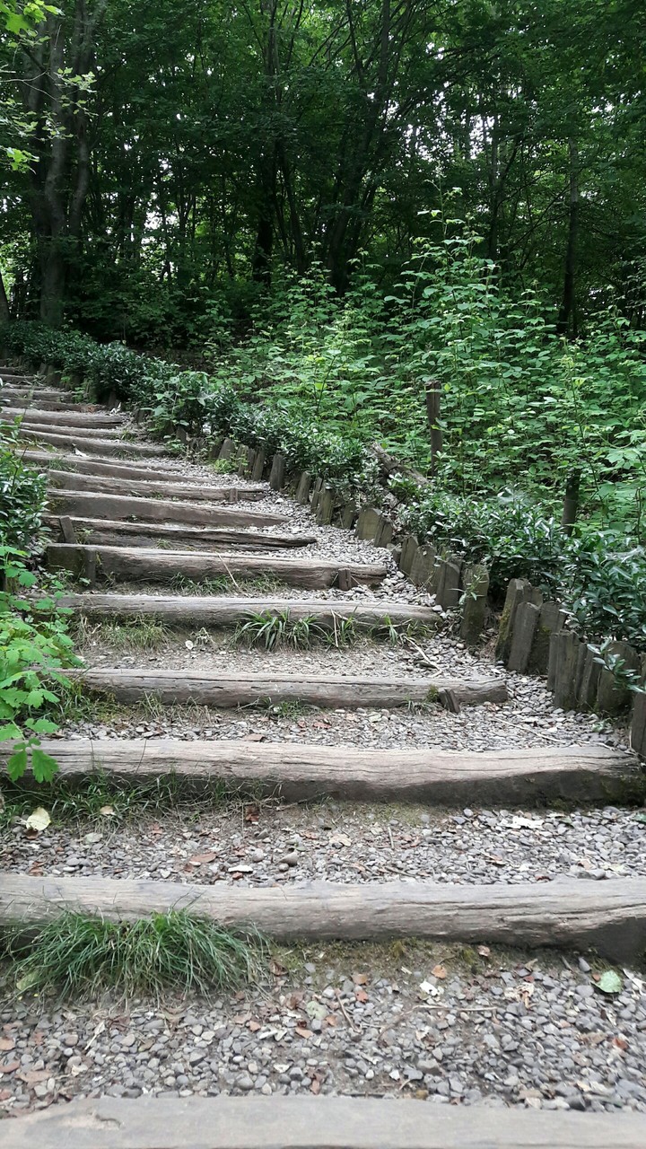 Rasht-Gilan-Iran