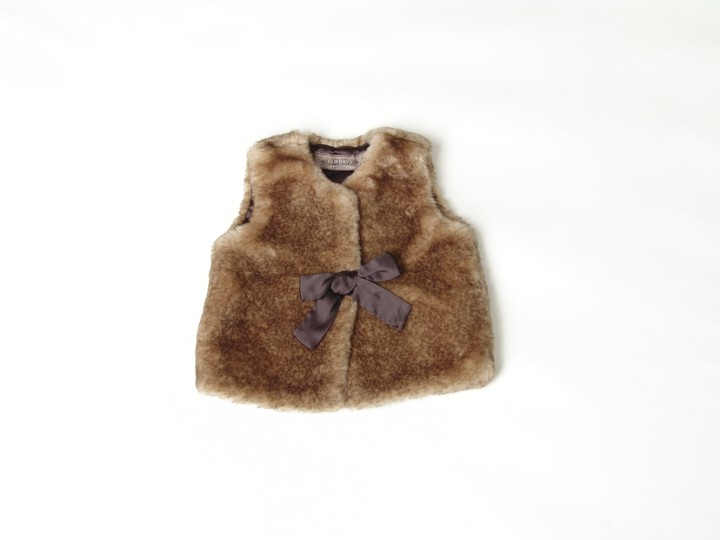Ski Vest