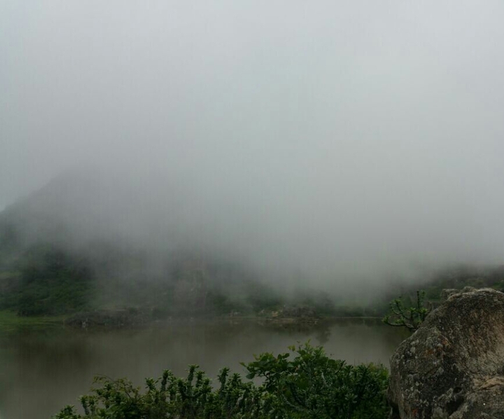 Foggy Hills