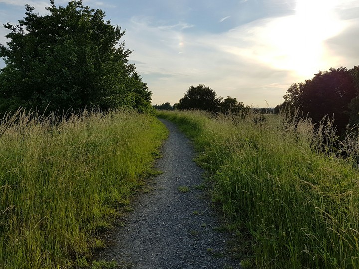 weg