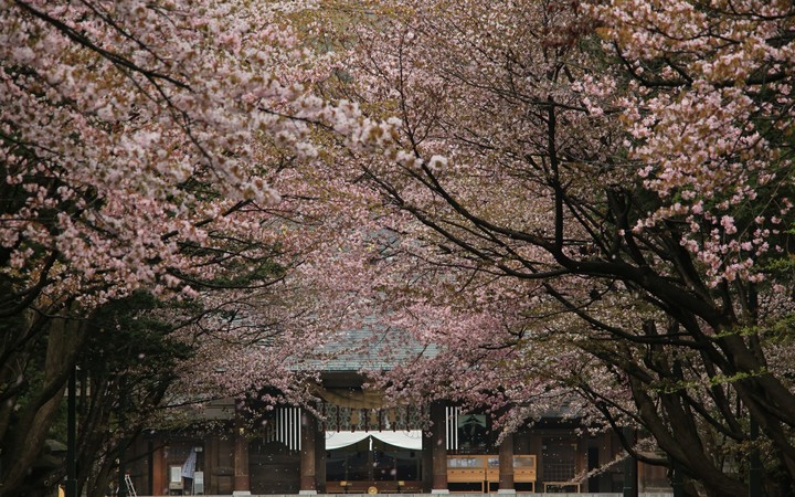 spring❤