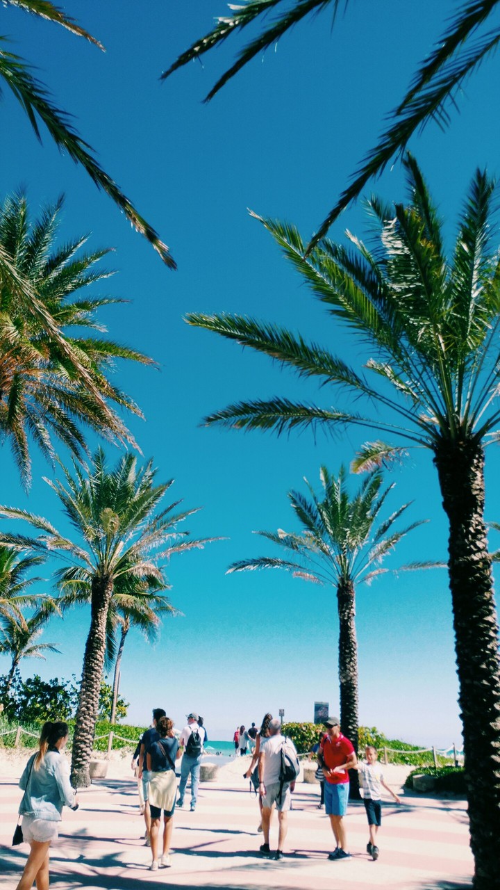 Miami Beach