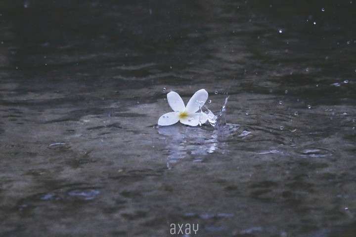 Monsoon