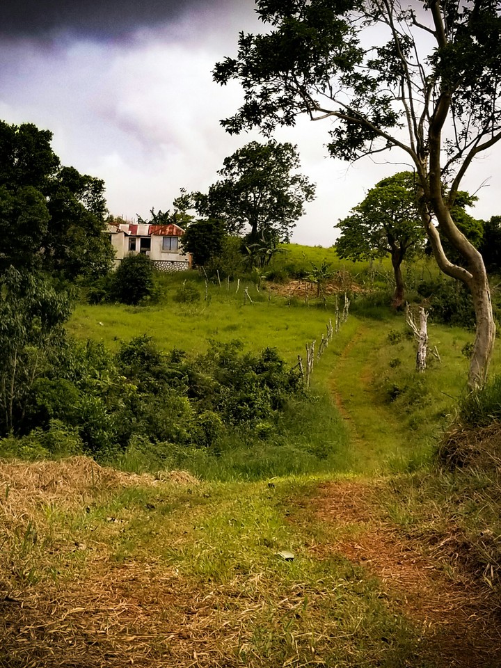 in the country