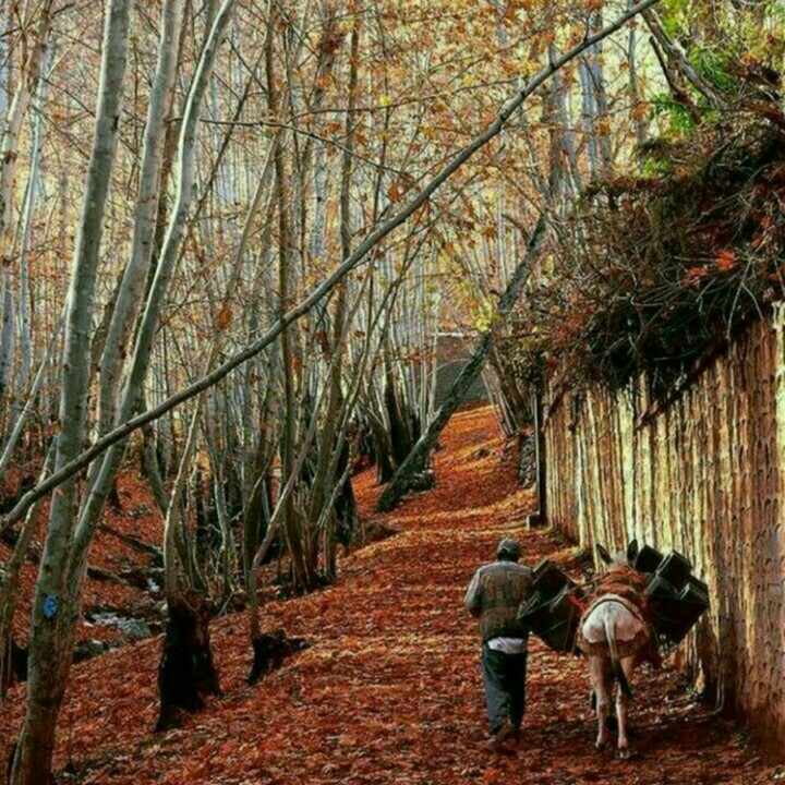 IRAN- autumn