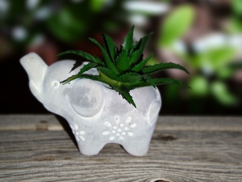 Ceramic elephant