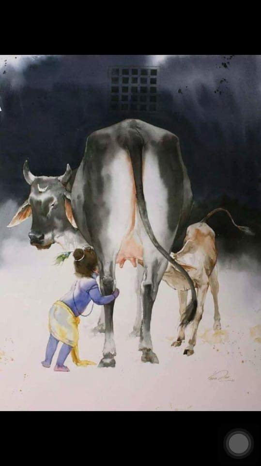 jai shree krishna ?