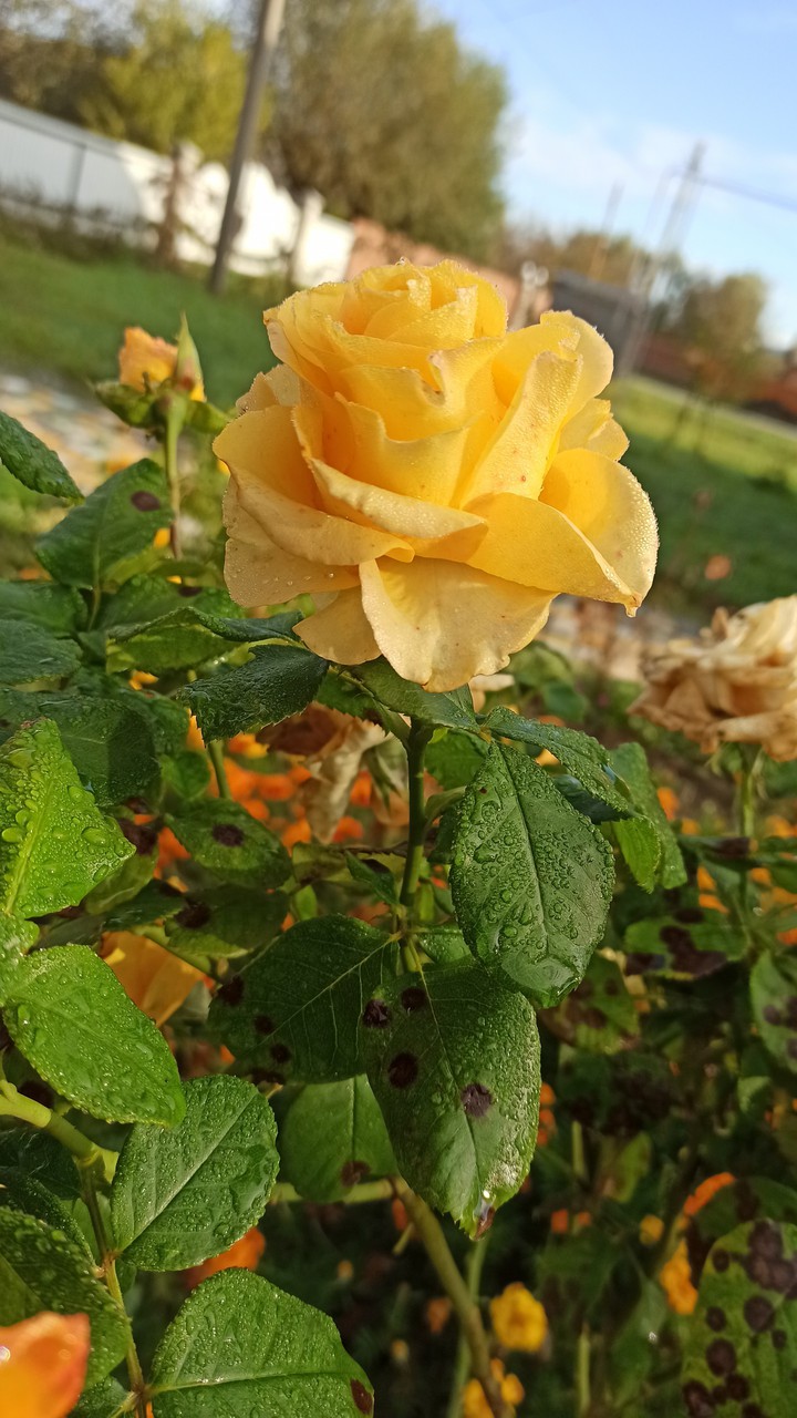 ?