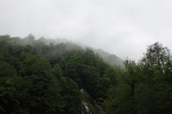 oguz