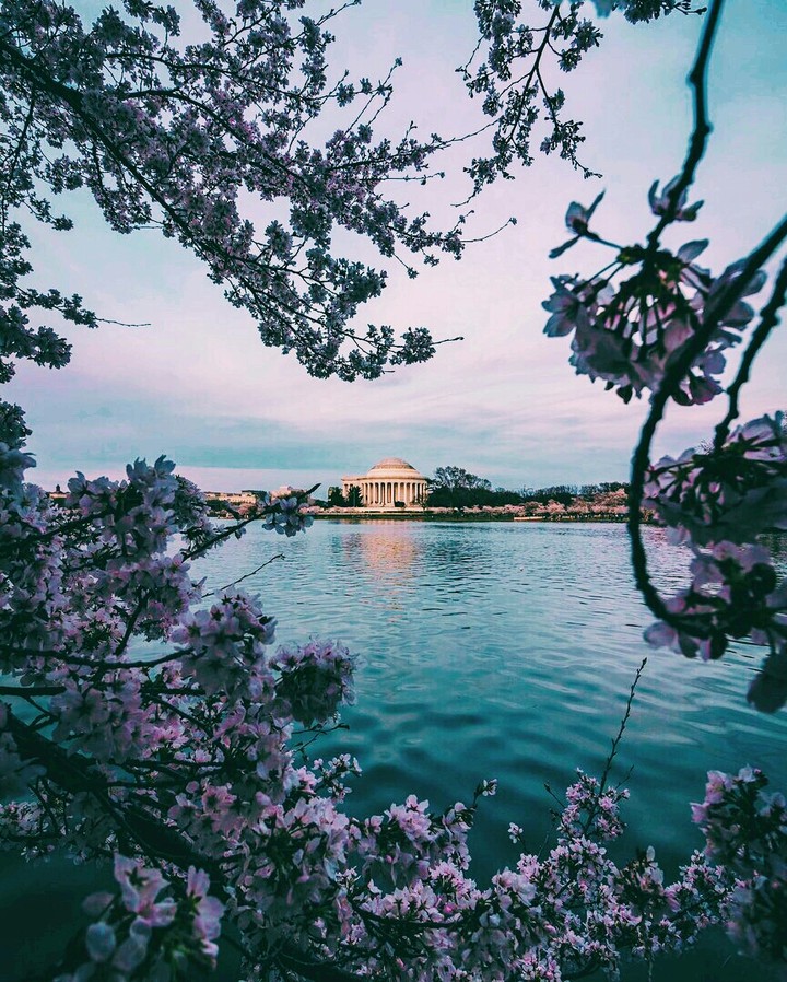 nature