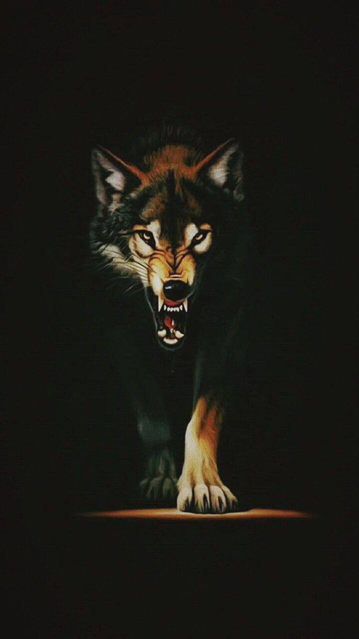 wolf