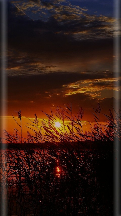 sun