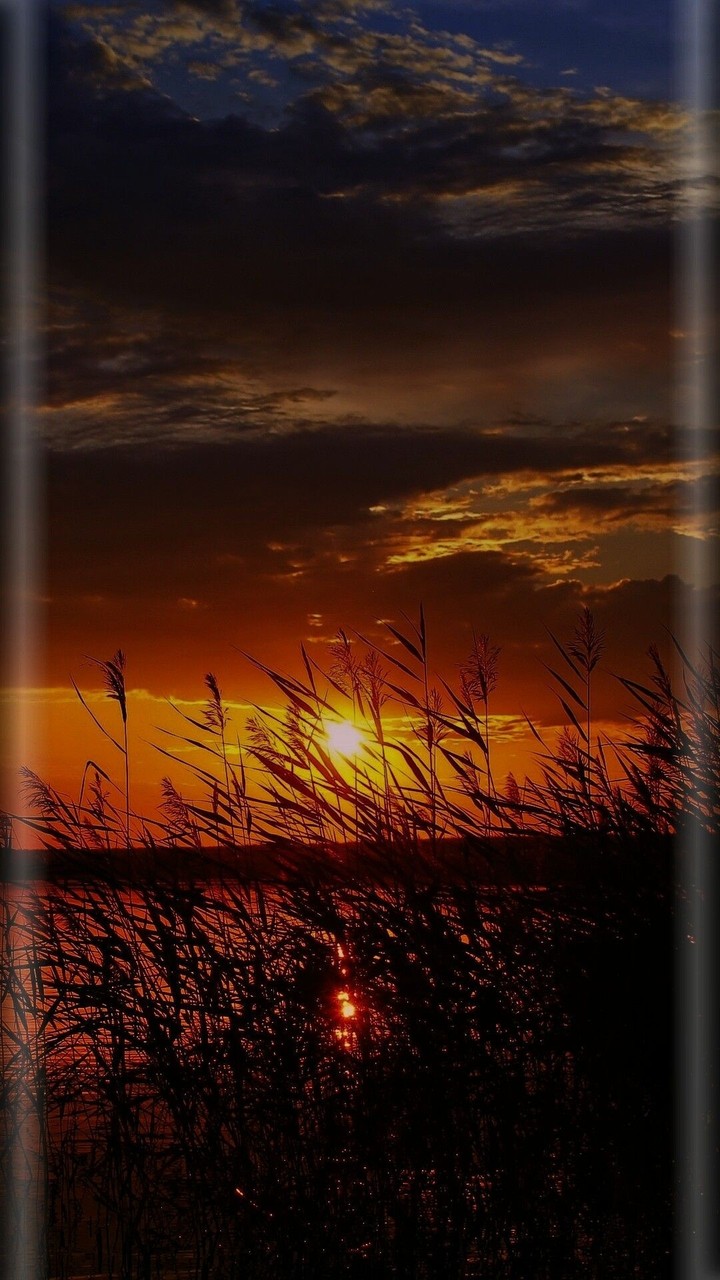 sun