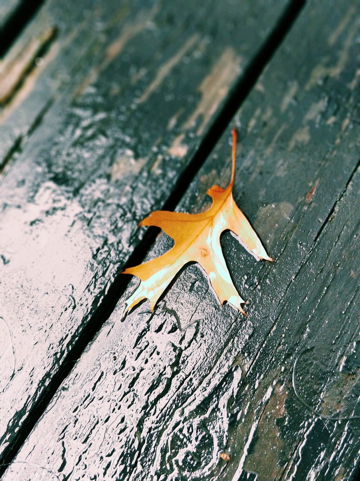Fall Time!!!