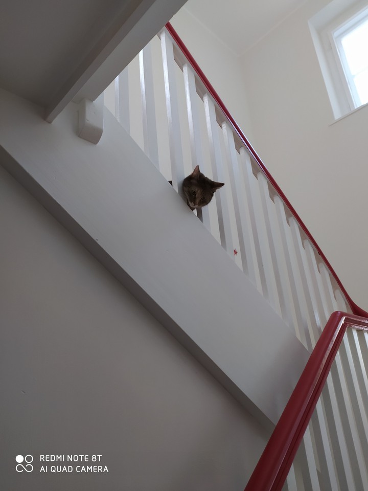 ?