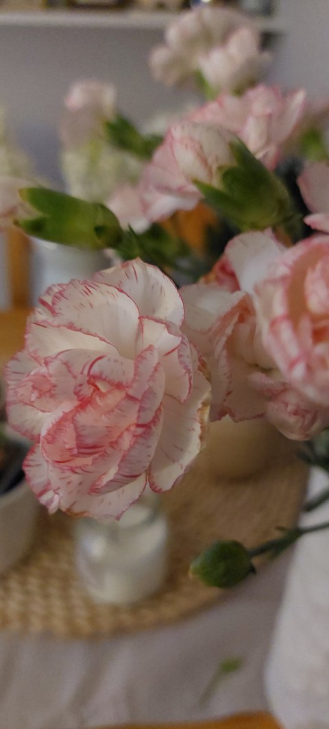 тапети botany, Bouquet