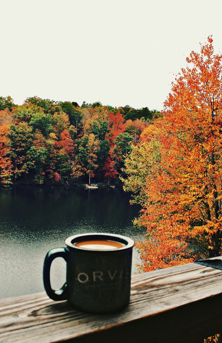 Coffe and autumn..)))