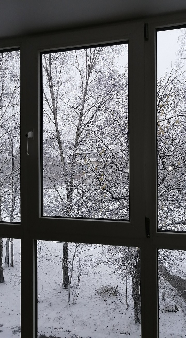 Снег