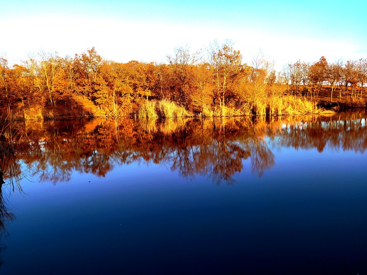 Nature