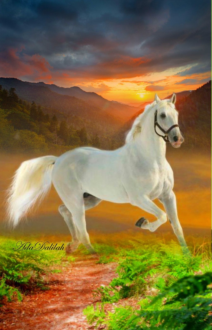 whiite Horse