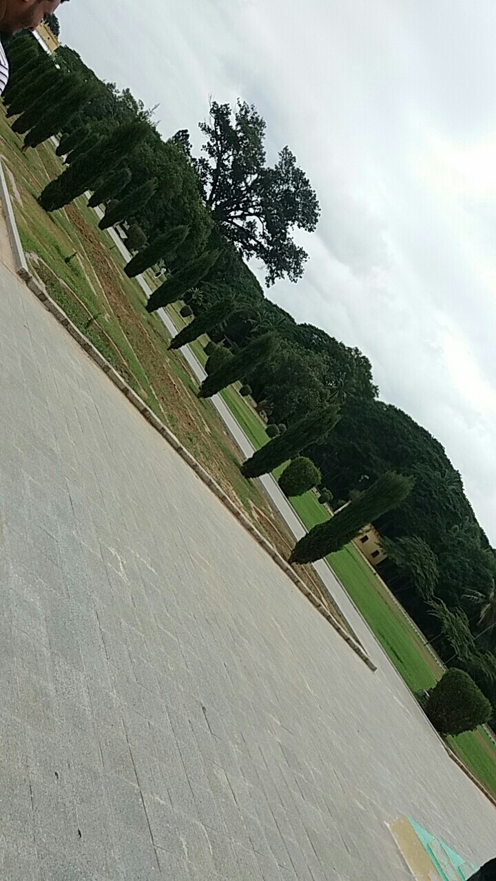 Greenery