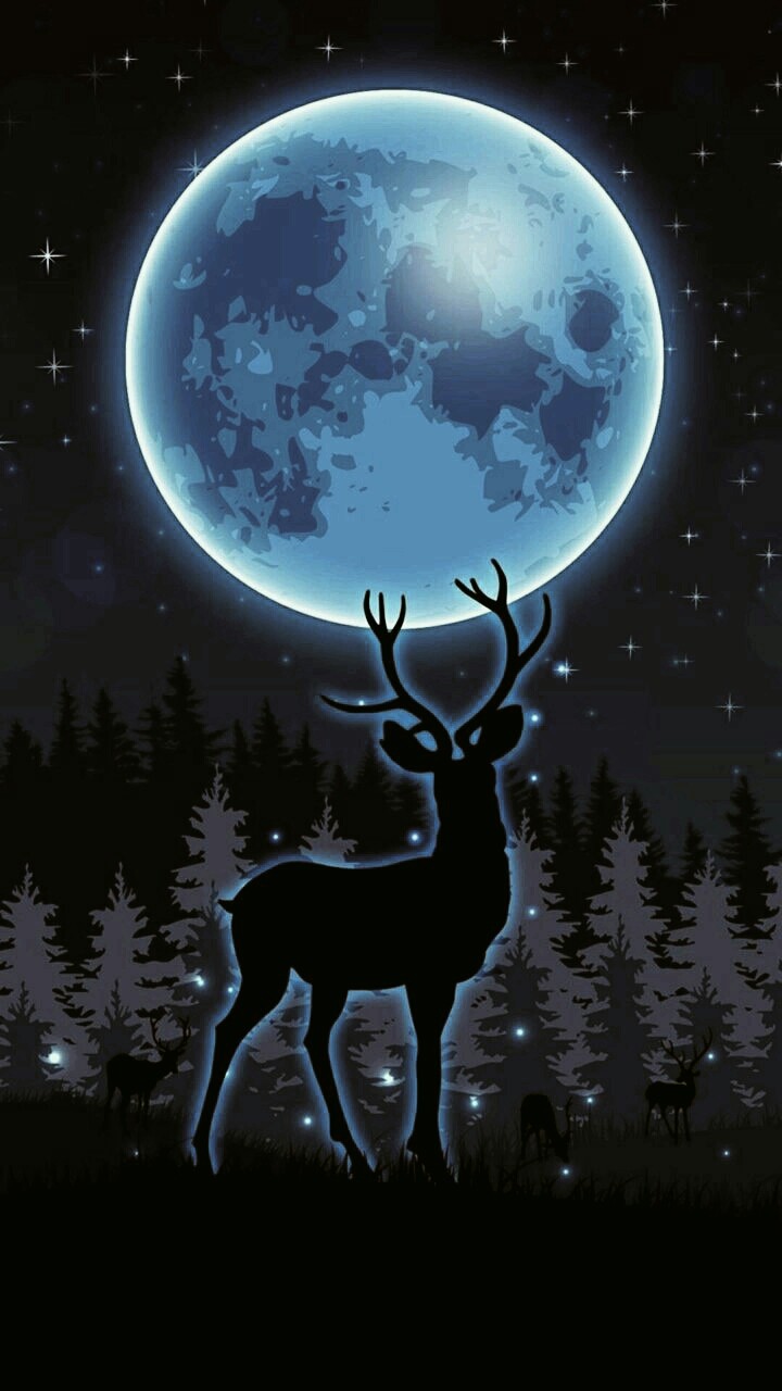 wallpaper