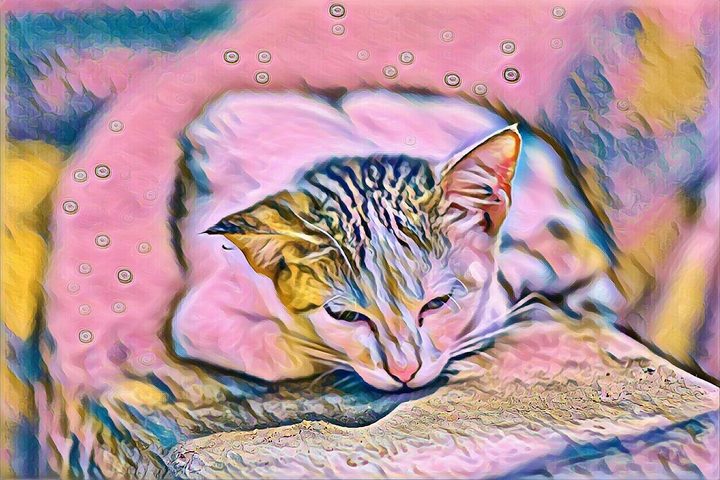 mi cat
