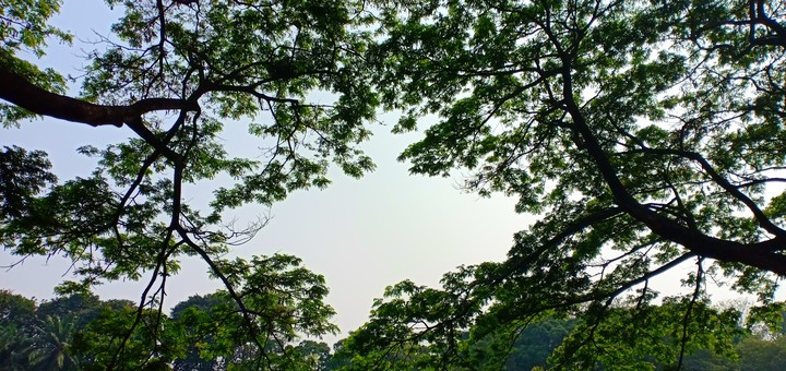 sky