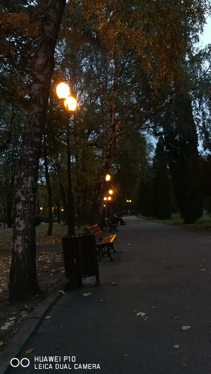Street lamps