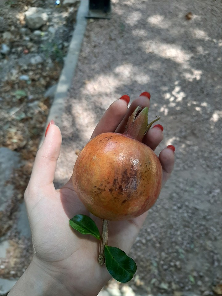 ??