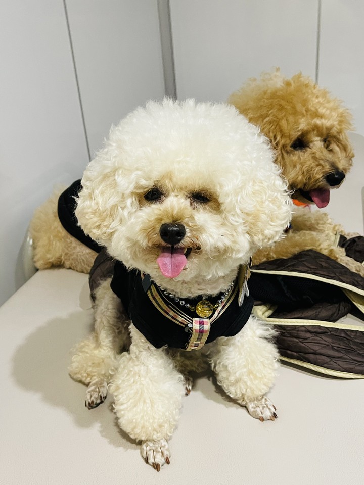 Lucky & Money