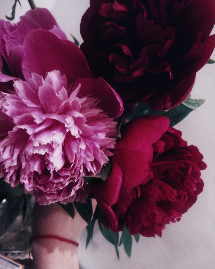 F L O W E R S