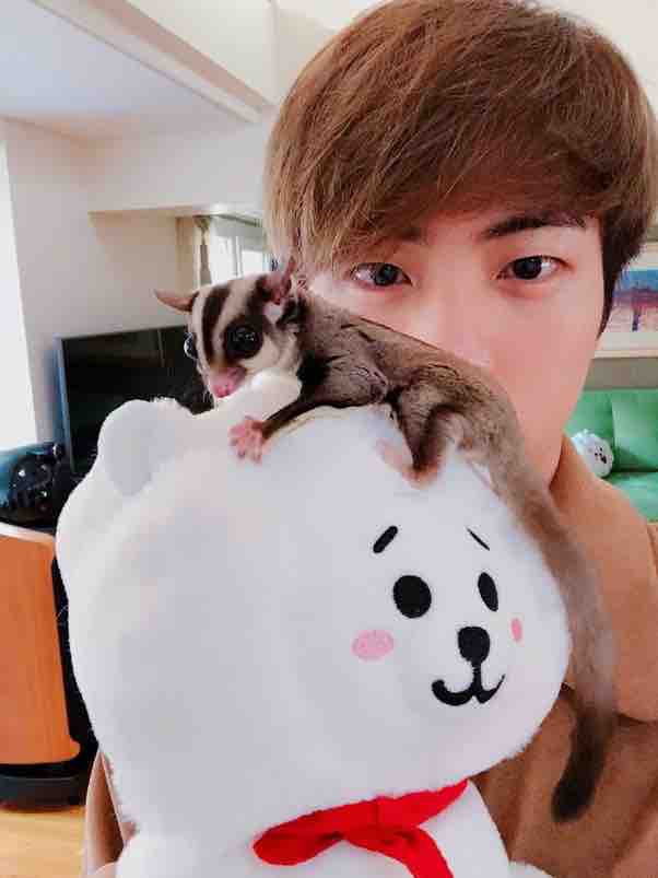 jin with his "sugar glider"