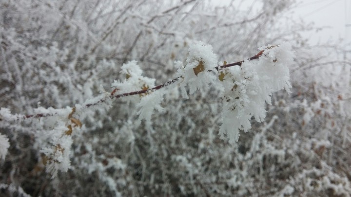 ❄