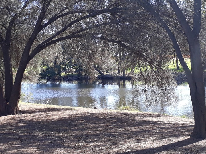 Swan River, Western Australia