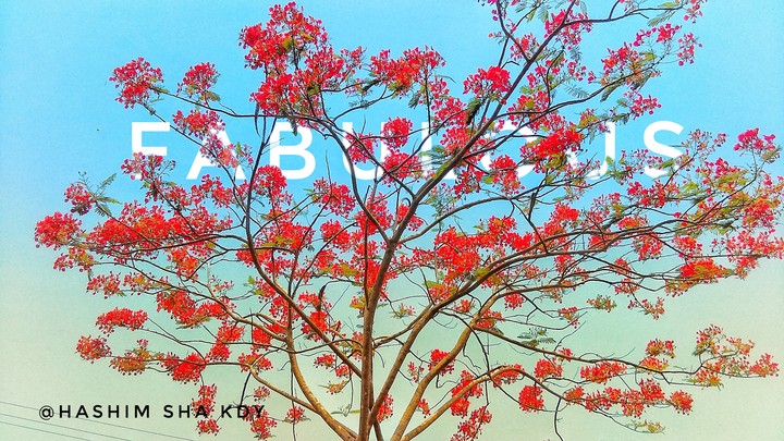 red
