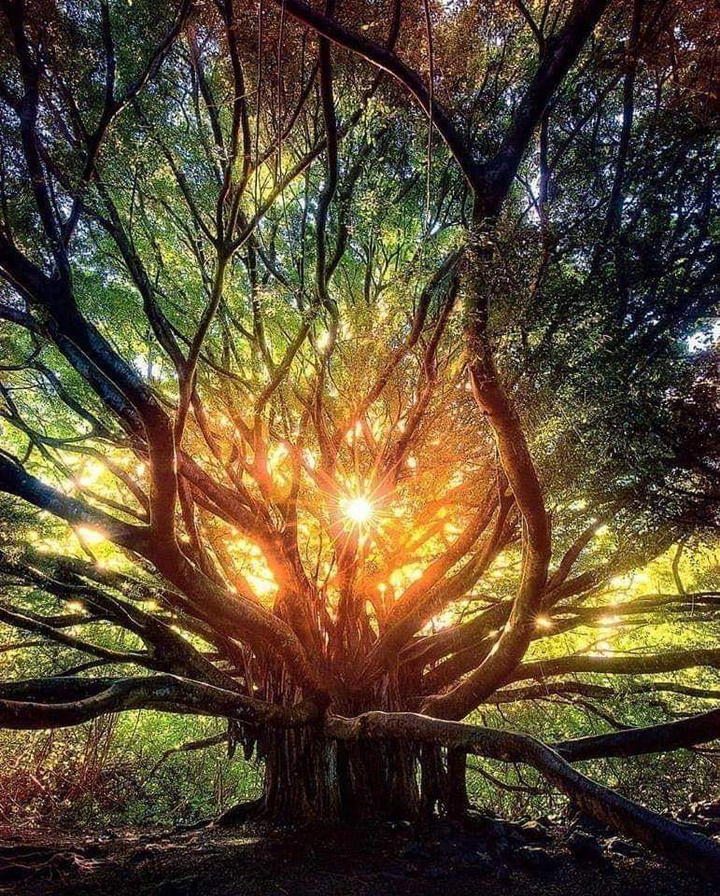 There's always a sunshine after darkness!