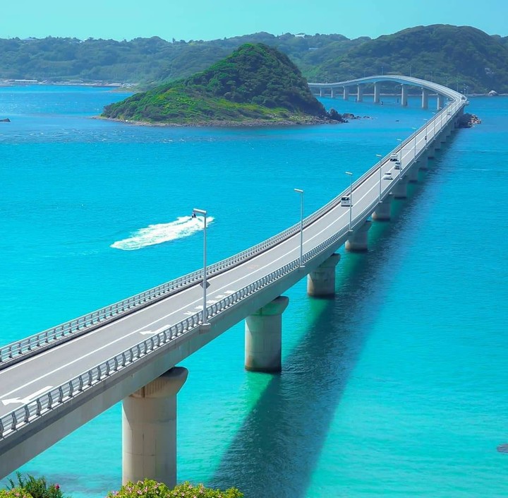 橋