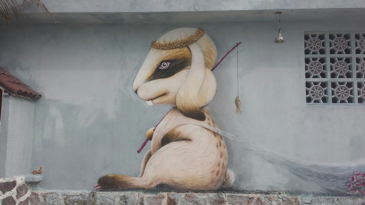 conejo