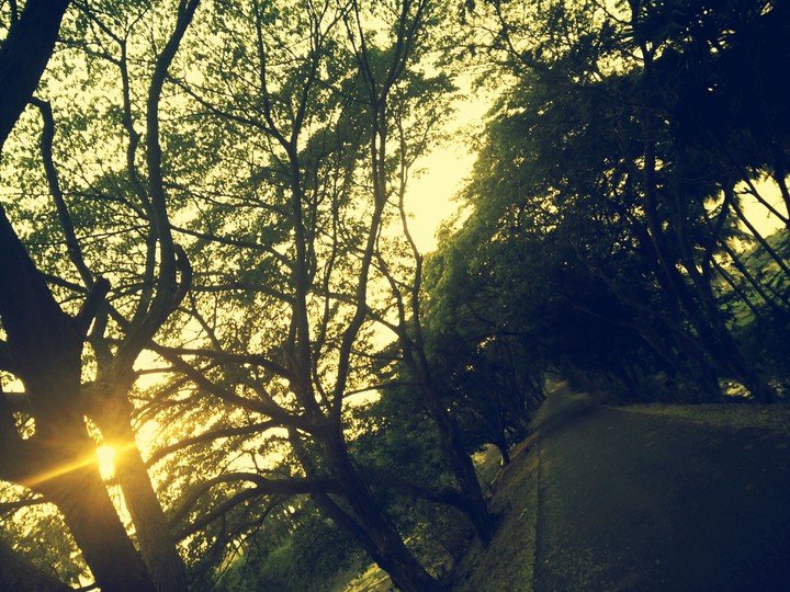 sunset #nature