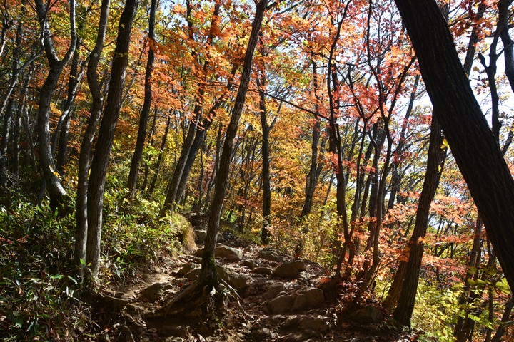 치악산이미지