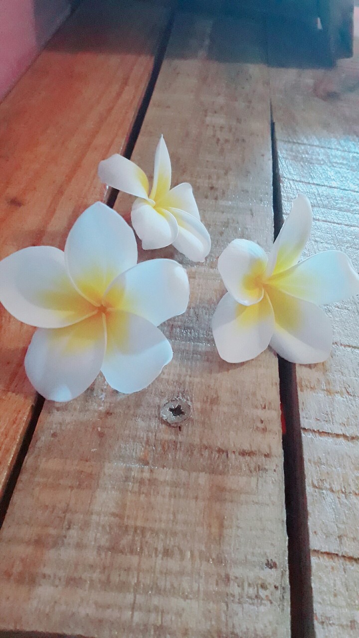 exotic flower