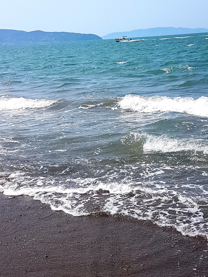 mare