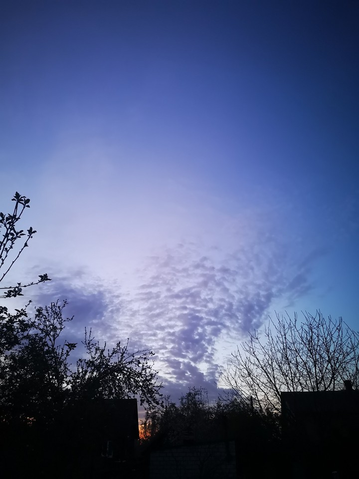 Sky