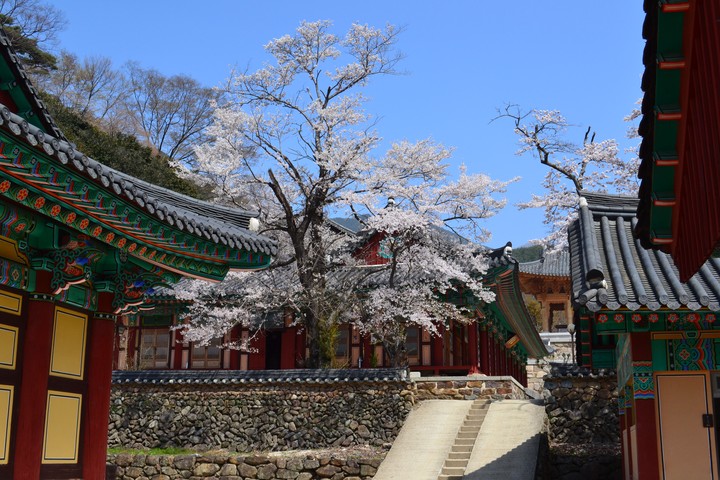 지리산이미지