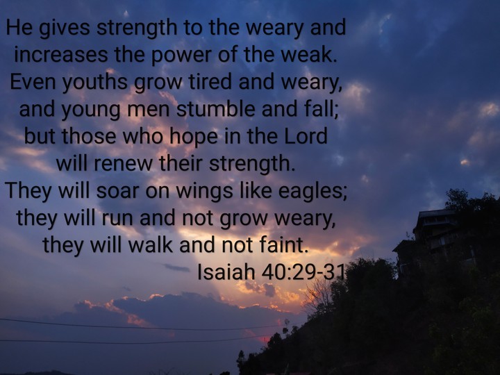 bible verses
