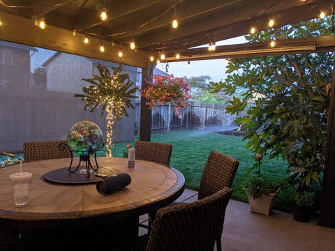 My little Oasis