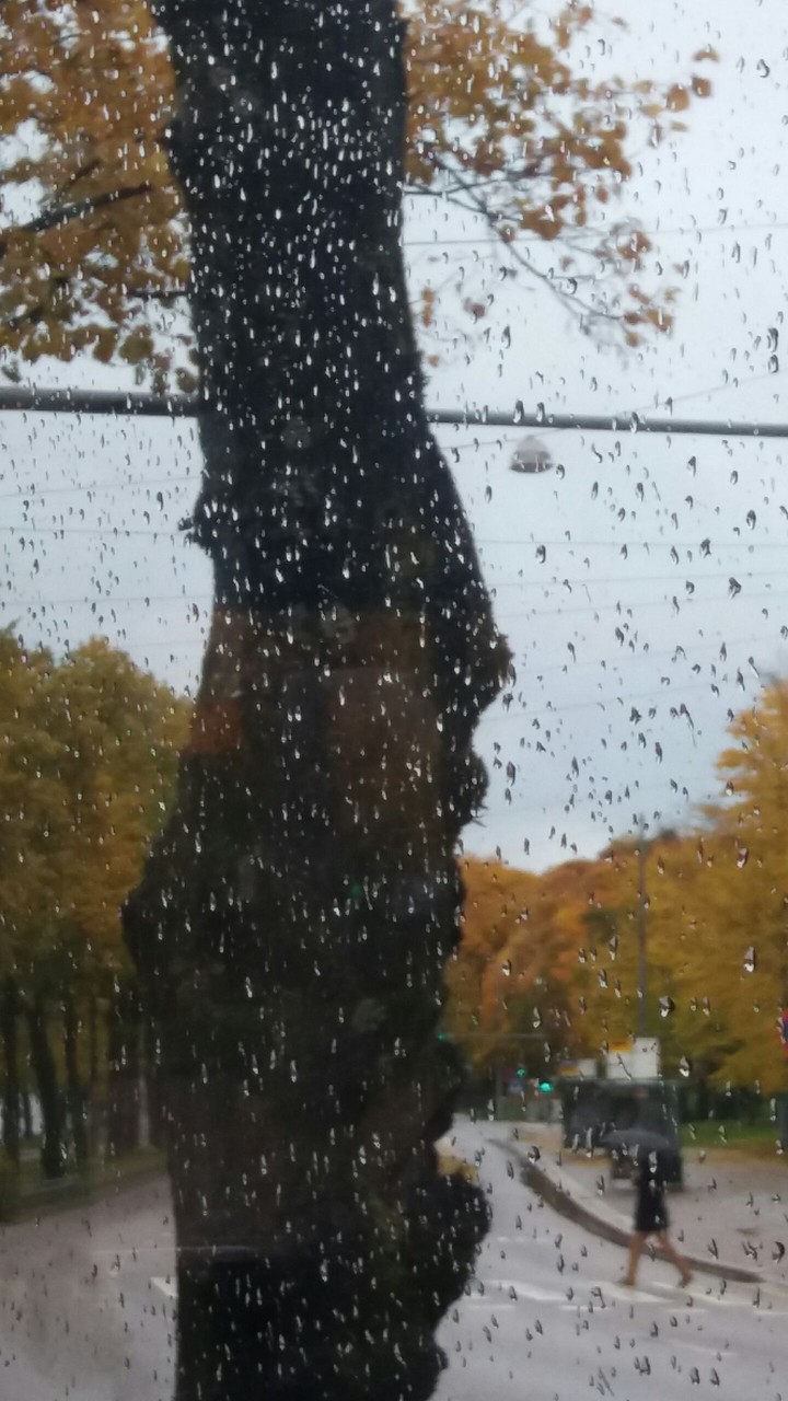 rain.